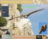 getphpbbimage.php?id=254798