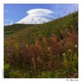 getphpbbimage.php?id=255642