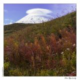 getphpbbimage.php?id=255717