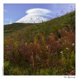 getphpbbimage.php?id=255791