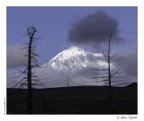 getphpbbimage.php?id=255794