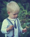 getphpbbimage.php?id=255805