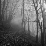 getphpbbimage.php?id=255876