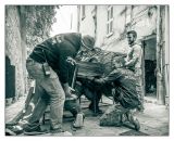 getphpbbimage.php?id=255925