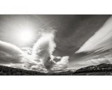 getphpbbimage.php?id=256015