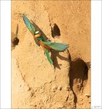 getphpbbimage.php?id=256327