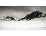 getphpbbimage.php?id=256606