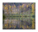 getphpbbimage.php?id=256786