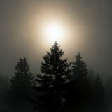 getphpbbimage.php?id=256888