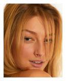 getphpbbimage.php?id=256913