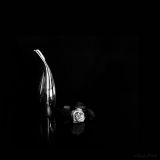 getphpbbimage.php?id=256946