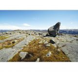 getphpbbimage.php?id=257071