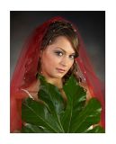 getphpbbimage.php?id=262665