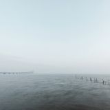 getphpbbimage.php?id=263634