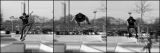 getphpbbimage.php?id=264103