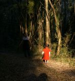 getphpbbimage.php?id=3892